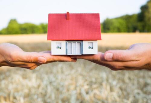 Foto - Wochendgrundstück Chemnitz Eigentum