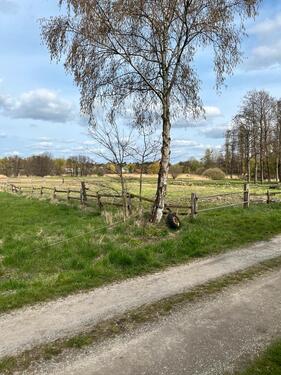 Foto - Weidefläche in Vöhrum, Peine - 40,00&nbsp;EUR Kaltmiete, ca.&nbsp; 0,00&nbsp;m&sup2;