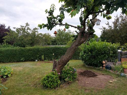 Foto - Grundst&uuml;ck in Schwerin