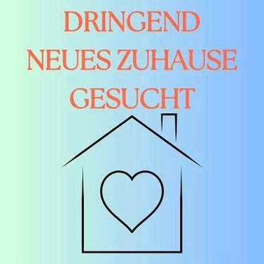 Foto - Such 2 Zimmer Wohnung in Schorndorf