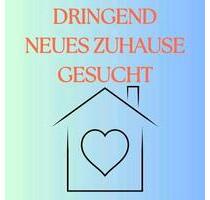 Such 2 Zimmer Wohnung in Schorndorf - Waiblingen