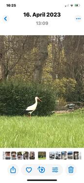 Foto - andere in Mainz zur Miete