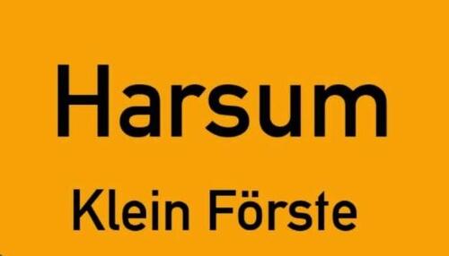 Foto - Einfamilienhaus mit Garage und Garten