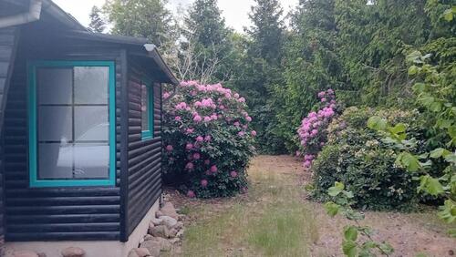 Foto - Einfamilienhaus in Sassenburg