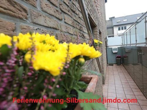 Foto - Ferienwohnung Silbersand am Silbersee