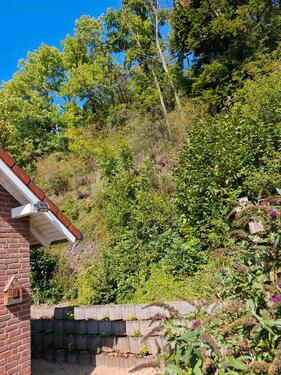 Foto - andere in Schleiden zur Miete