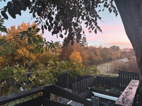 Foto - Kapitalanlage in Weilerbach - 589.000,00 EUR Kaufpreis,