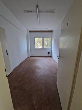 Foto - andere in Dessau-Roßlau zur Miete