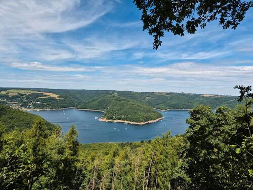 Foto - Ferienhaus Waldblick in Simmerath für 10 Personen & max. 4 Hunde