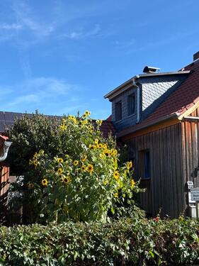 Foto - Mehrfamilienhaus, Wohnhaus in Sinntal zum Kaufen