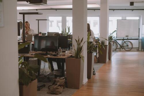 Foto - andere in Hamburg zur Miete