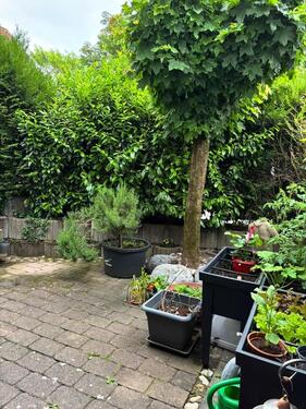Foto - Erdgeschoßwohnung in Erlenbach zum Kaufen