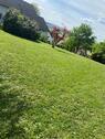 Foto - Einfamilienhaus zur Miete in Röfingen
