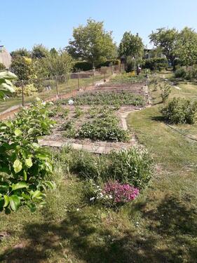 Foto - Kleingarten 500qm ( Sparte Kedingshagen 1 )