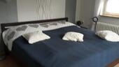 Foto - andere in Hesel