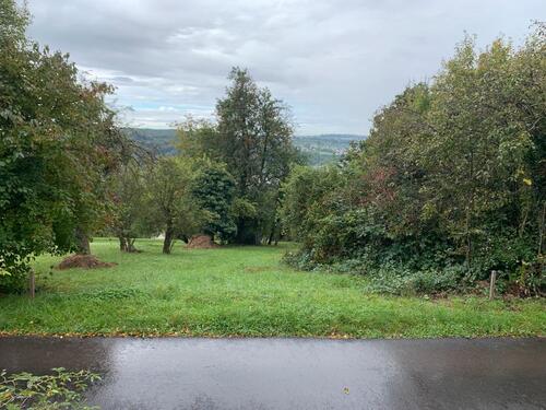 Foto - Stadtnahes Grundstück in Plochingen – zur Verpachtung für nur 30€