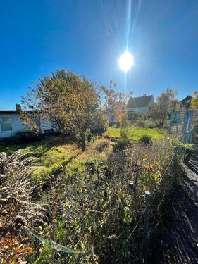 Foto - Grundstück in Halle (Saale)