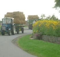 Urlaub auf dem Bauernhof (Ostseeinsel Fehmarn)