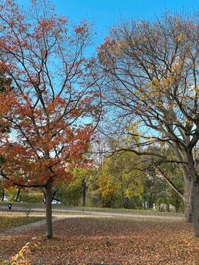 Foto - Ein-Zimmer-Wohnung mit Balkon - 450,00&nbsp;EUR Kaltmiete, ca.&nbsp; 23,00&nbsp;m&sup2;