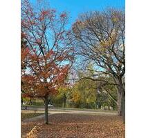 Ein-Zimmer-Wohnung mit Balkon - 450,00&nbsp;EUR Kaltmiete, ca.&nbsp; 23,00&nbsp;m&sup2; in Gießen (PLZ: 35398) Allendorf