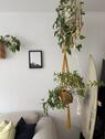 Foto - Etagenwohnung zur Miete in München