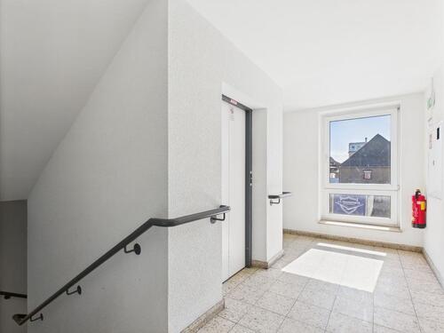 Foto - andere in Walsrode