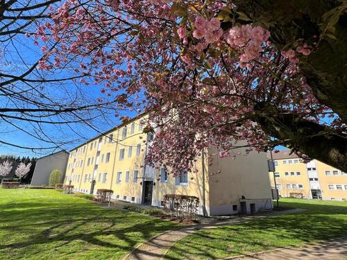 Foto - Demnächst frei! 2-Zimmer-Wohnung in Duisburg Beeckerwerth