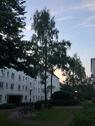 Foto - Helle 3,5-Zimmer Wohnung (ca. 75 m²) befristet 1Jahr Barmbek Nord