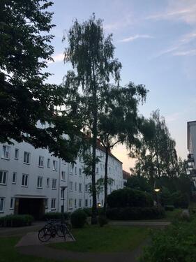 Foto - Helle 3,5-Zimmer Wohnung (ca. 75 m²) befristet 1Jahr Barmbek Nord