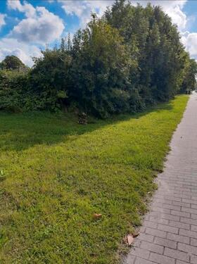 Foto - Grundst&uuml;ck in Oppenheim