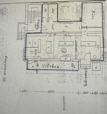 Foto - andere in Lindau (Bodensee)