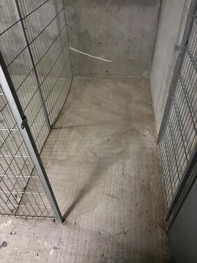 Foto - Keller Kellerabteil Abstellraum Martinsviertel Riegerplatz