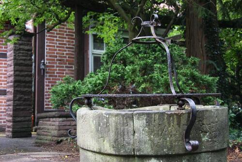 Foto - 4 Zimmer Erdgeschoßwohnung zur Miete in Bergen