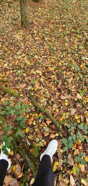 Foto - Grundst&uuml;ck zur Miete in Zweibrücken