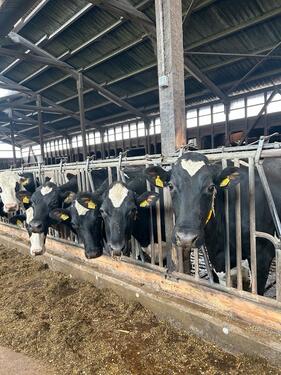 Foto - Schöne, bezahlbare 4-Zimmer Whg. in Theresienhof Plön