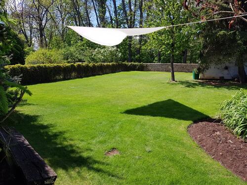 Foto - 5 Zimmer Doppelhaushälfte zum Kaufen in Falkenstein/Harz