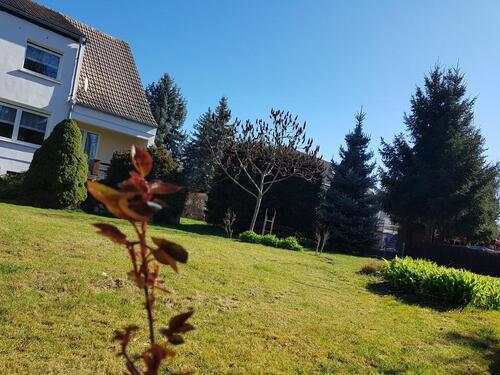 Foto - 5 Zimmer Doppelhaushälfte in Falkenstein/Harz