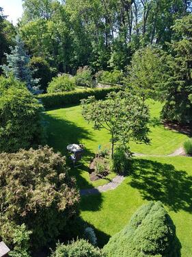 Foto - Doppelhaushälfte in Falkenstein/Harz zum Kaufen