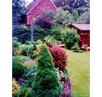 Teilsaniertes Haus mit 120 m² Wfl. und Garten zu verkaufen! - Dessau-Roßlau