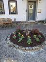 Foto - Einfamilienhaus in Neustadt (Wied) zum Kaufen