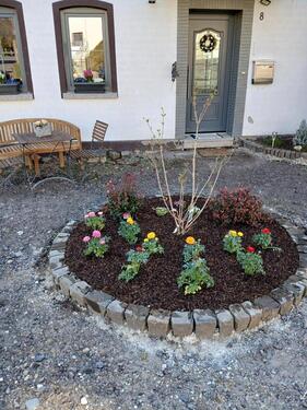 Foto - Einfamilienhaus in Neustadt (Wied) zum Kaufen