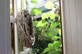 Foto - Einfamilienhaus in Bodenwerder zum Kaufen