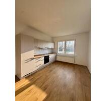 *Erstbezug* renovierte und helle 2-Raum-Wohnung mit Einbauküche - Brüel