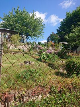 Foto - Grundstück zur Miete in Aue-Bad Schlema