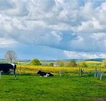 Rapsblüten-Special 5 ÜN, Ostsee und Bauernhof, Hunde willkommen - Blekendorf