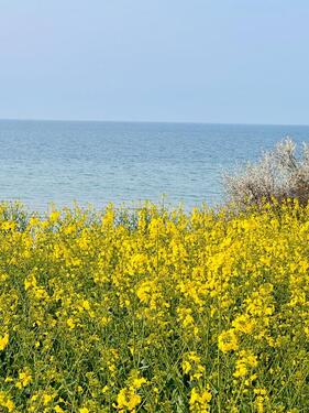 Foto - andere zur Miete in Blekendorf