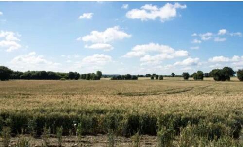 Foto - Doppelhaushälfte - 1.200,00&nbsp;EUR Kaltmiete, ca.&nbsp; 120,00&nbsp;m&sup2;