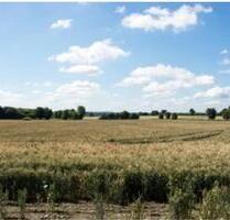 Doppelhaushälfte - 1.200,00&nbsp;EUR Kaltmiete, ca.&nbsp; 120,00&nbsp;m&sup2; in Stinstedt (PLZ: 21772)