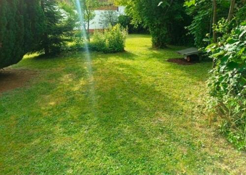 Foto - Einfamilienhaus zum Kaufen in Dernbach (Westerwald)