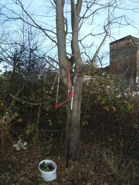 Foto - andere zum Kaufen in Halle (Saale)